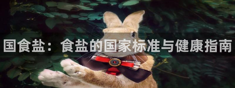 威九国际mm
