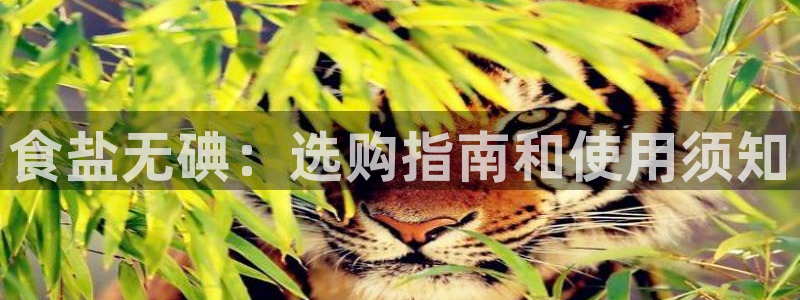 78mapp威九国际免费官方版下载