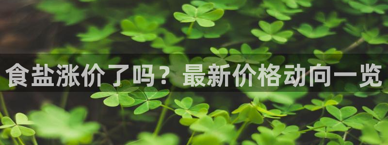 威九国际清砖码头在哪