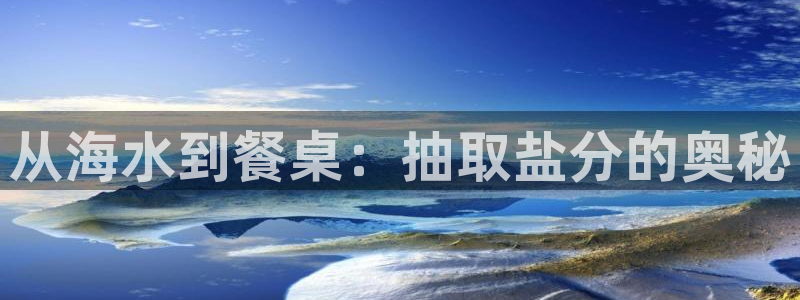 威九国际78