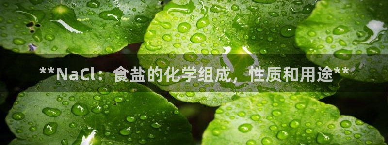 威九国际能提现吗