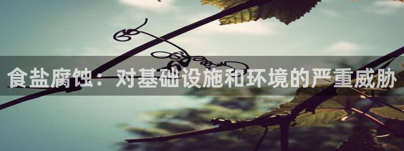 威九国际78mapp官网版下载