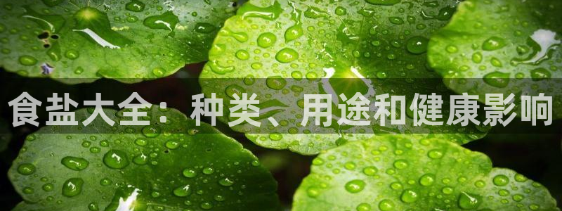 威九国际取款不到账