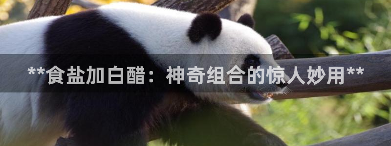 威九国际取款多到账