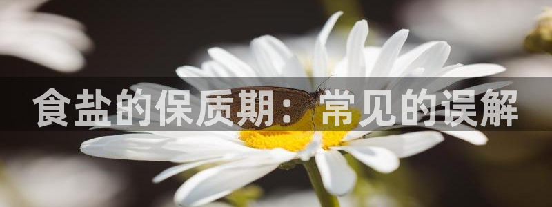 威九国际78mB