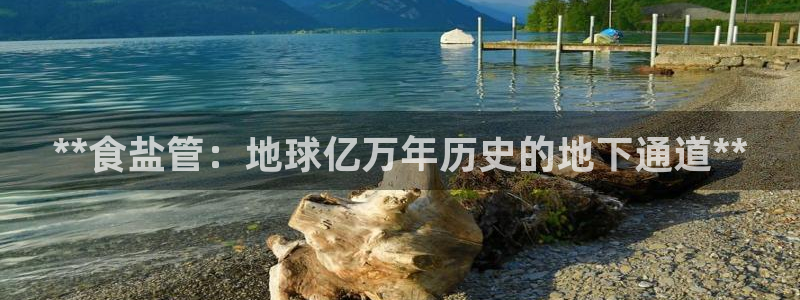 威九国际免费