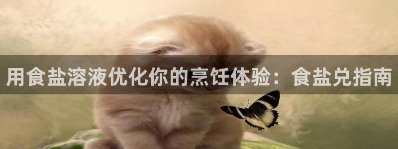 威九国际ppt官网