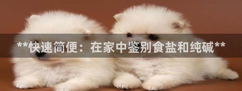 威九国际精彩推荐