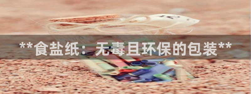 威九国际软件
