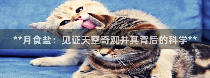 威九国际特殊奖励