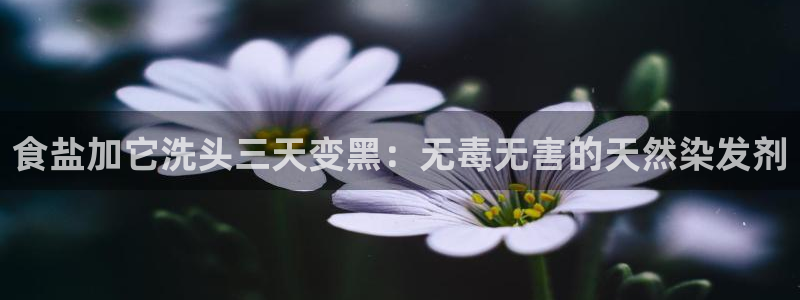 78mapp威九国际