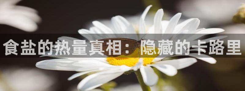 威九国际网站客服电话多少号