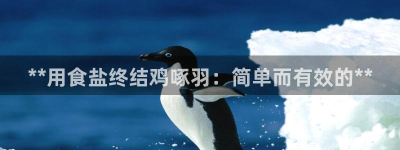 78mapp威九国际网