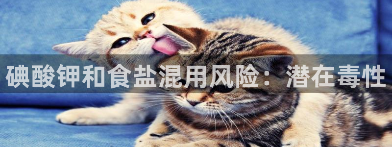 威九国际66m-66