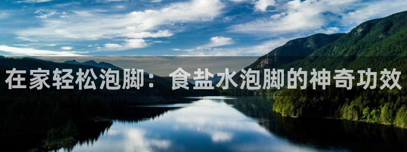 威九国际X8