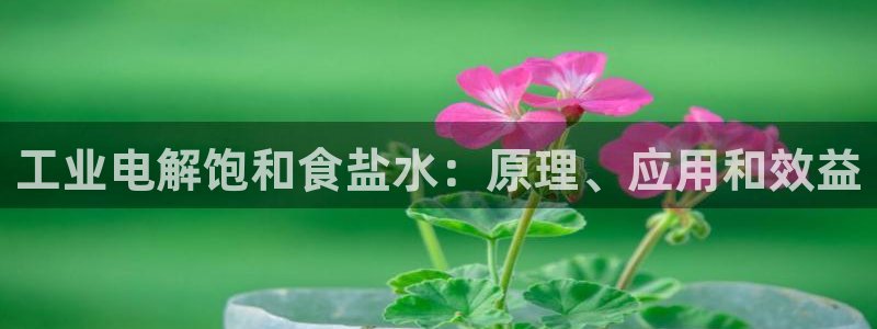 威九国际体育