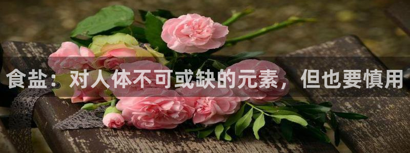 威九国际v96bet官网版