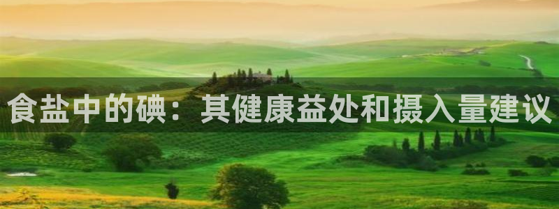 威九国际66m免费下载