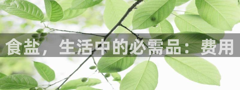 威九国际入囗