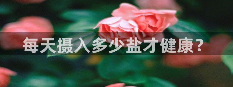 威九国际v96bet官网版