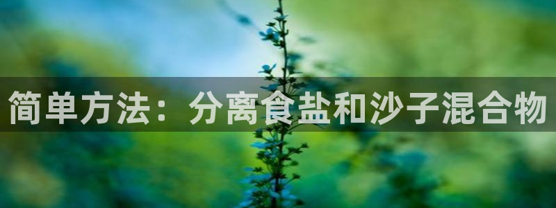 威九国际网站怎么样知乎