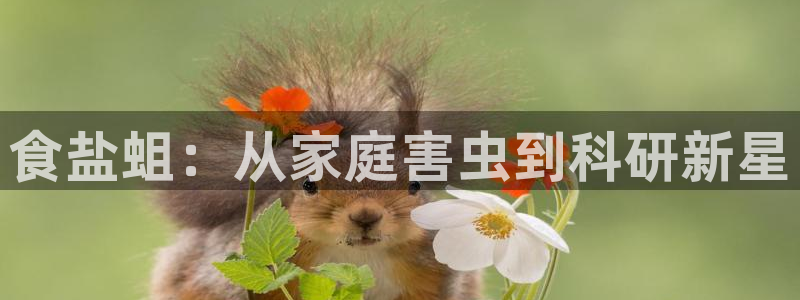 威九国际后爸