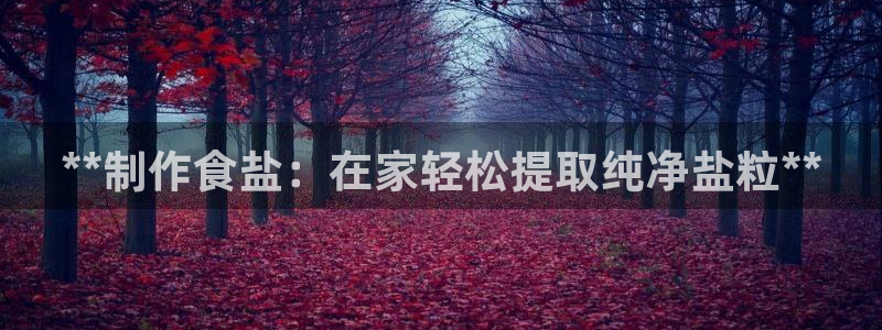 威九国际网站进入产品中心怎么进