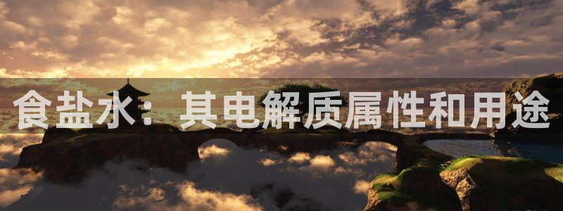 威九国际PPT