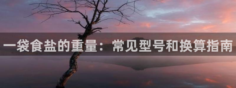 威九国际女艺人