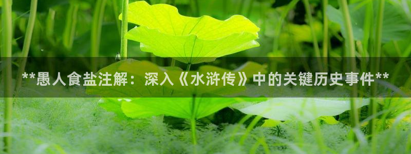 78mapp威九国际