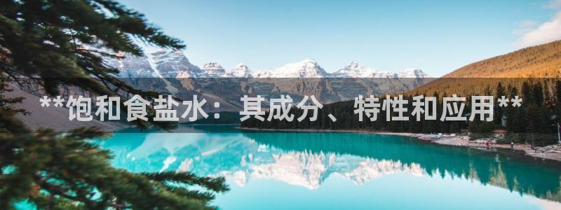 威九国际78mb游戏