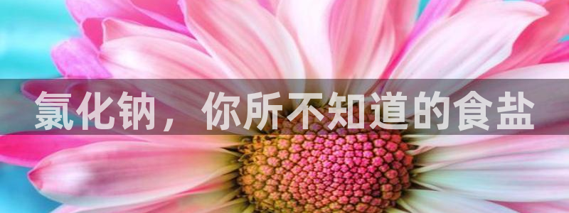 威九国际软件