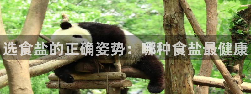 威九国际78mb下载