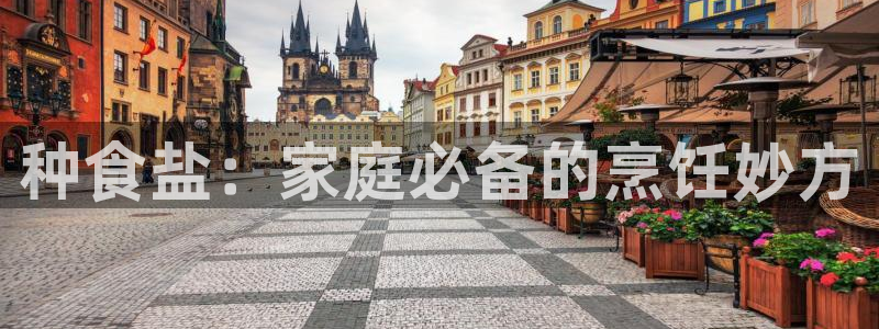 威九国际演员表