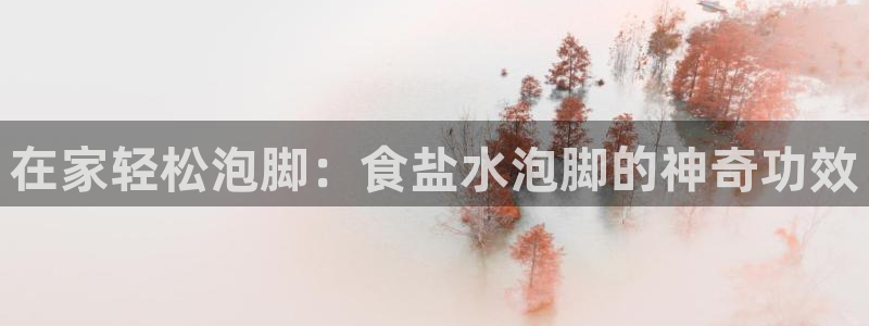 威九国际入囗