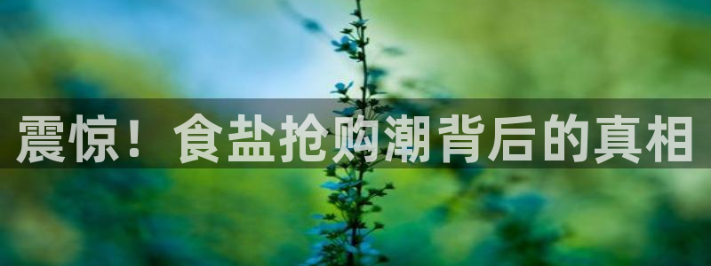 威九国际空降服务怎么样