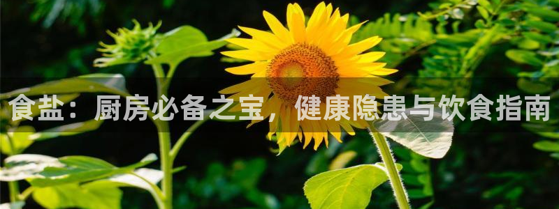 威九国际78m-MBA智库百科