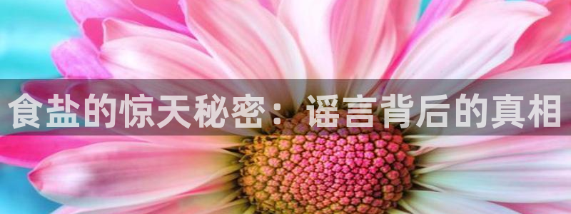 威九国际66m官网版