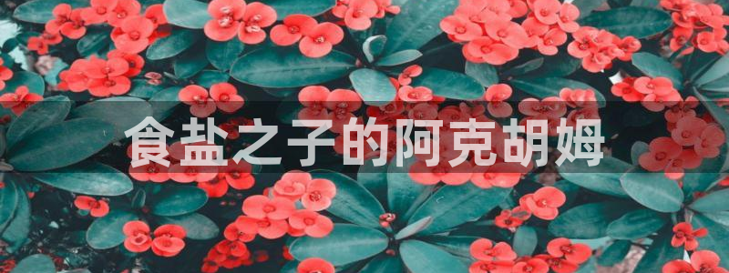 威九国际EVA0001