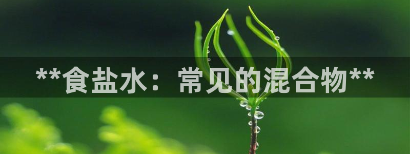 威九国际女明星