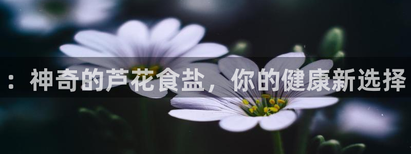 威九国际78mb特点