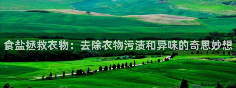 威九国际网站下载