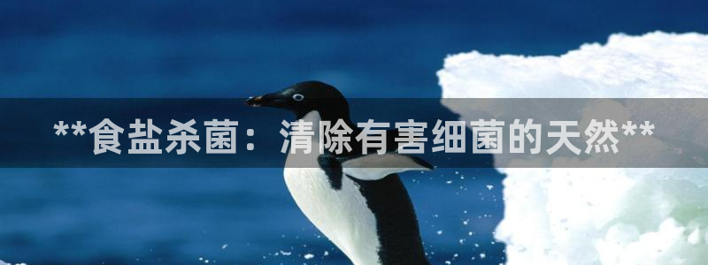 威九国际APP入口