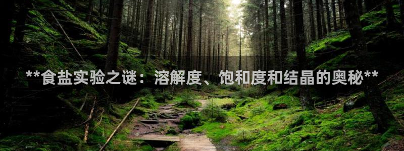 威九国际旗下艺人