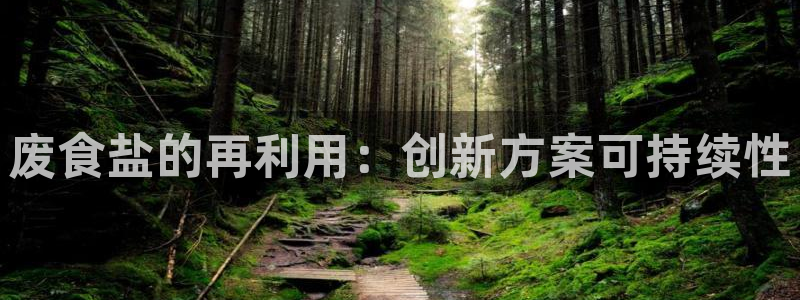 威九国际可以提现吗现在