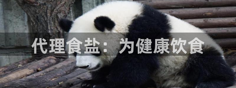 保定威九网络科技有限公司