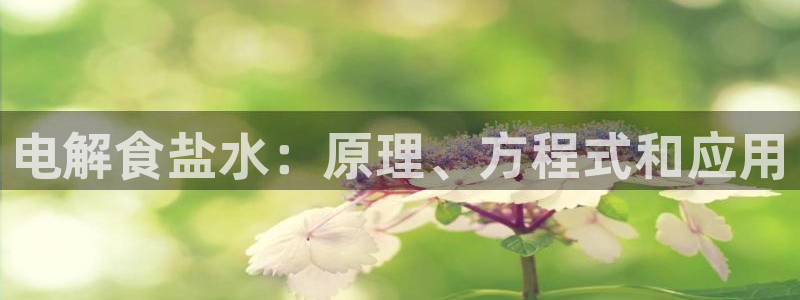 威九国际客服电话是多少