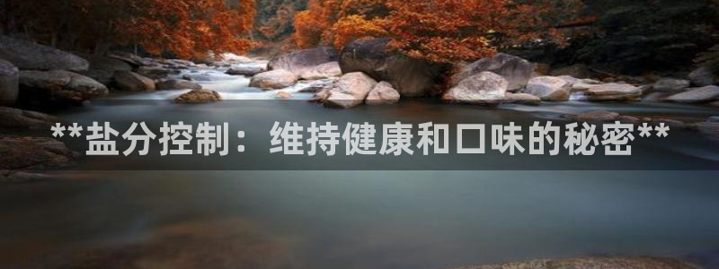 66m威九国际精选