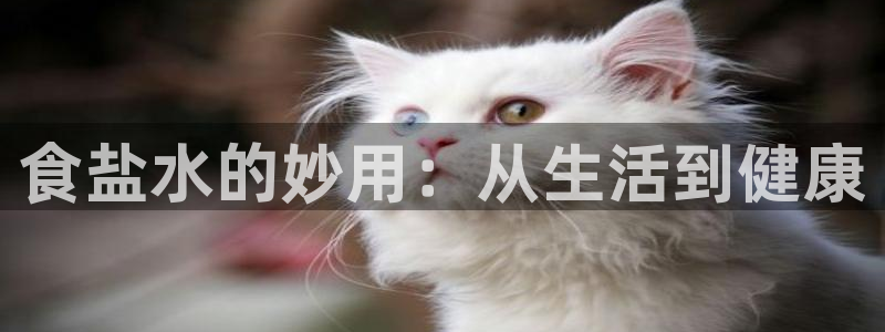 威九国际女孩