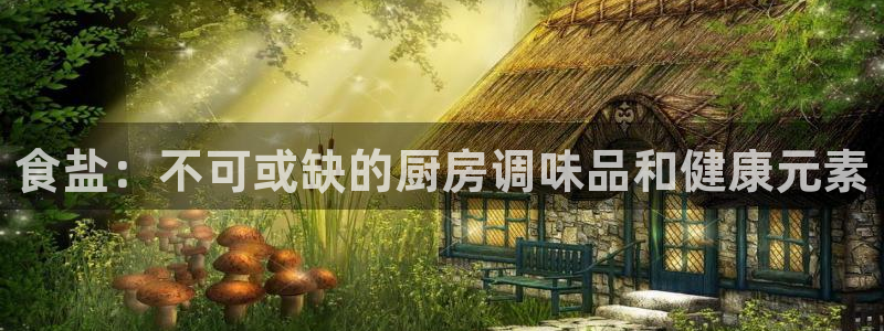 威九国际空降服务怎么样
